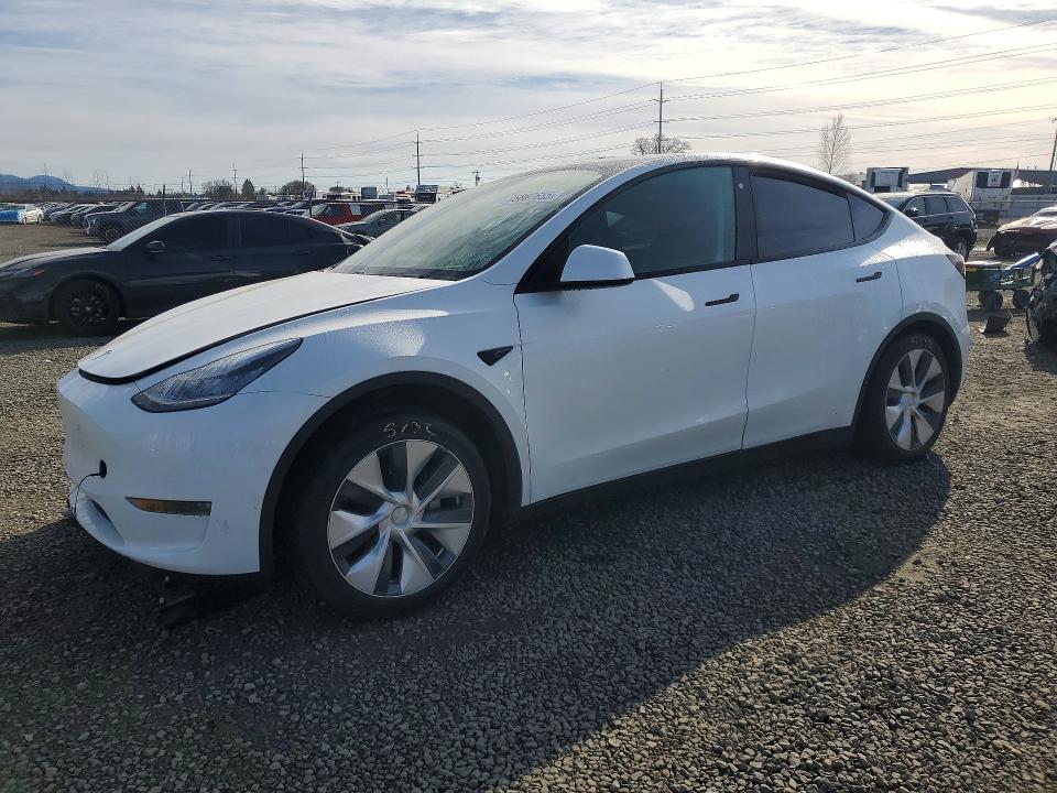 2020 TESLA MODEL Y — VIN 5YJYGDEE7LF045033