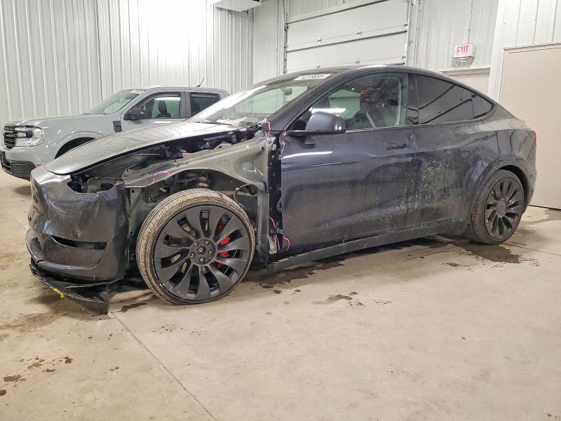 2025 TESLA MODEL Y — VIN 7SAYGDEFXSA352767