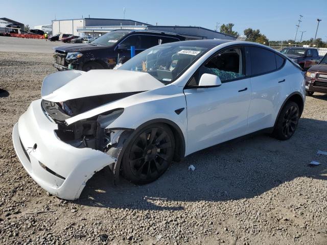 2021 TESLA MODEL Y — VIN 5YJYGDEE9MF162033