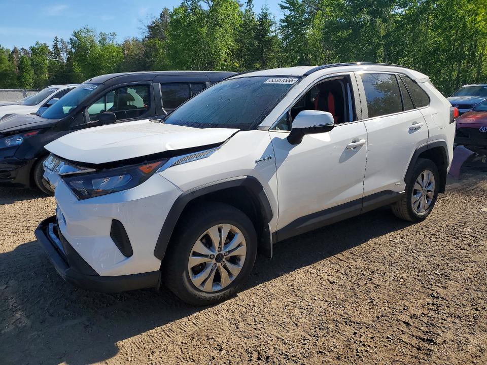 2019 TOYOTA RAV4 — VIN 2T3BWRFV7KW003782