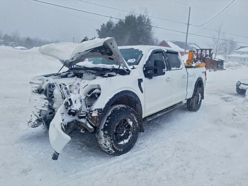 2024 FORD F150 — VIN 1FTFW3L51RFA93526