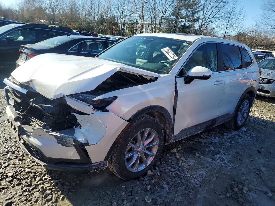 2024 HONDA CR-V — VIN 2HKRS4H72RH466037