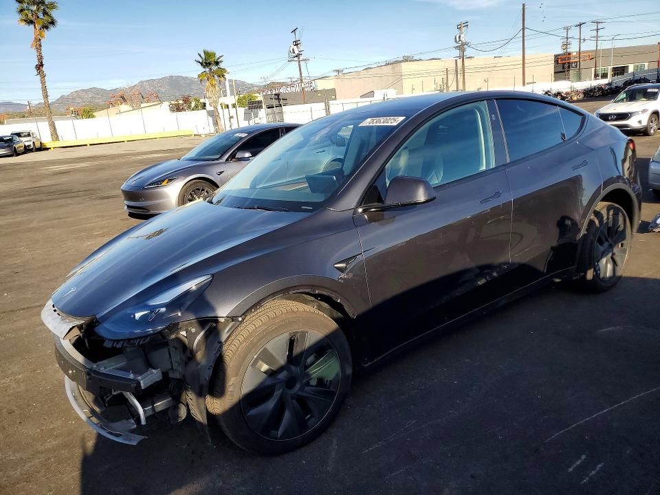 2024 TESLA MODEL Y — VIN 7SAYGDEE2RF169139