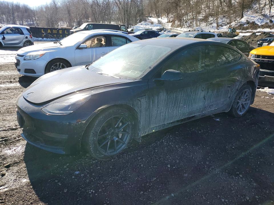 2023 TESLA MODEL 3 — VIN 5YJ3E1EA8PF579675