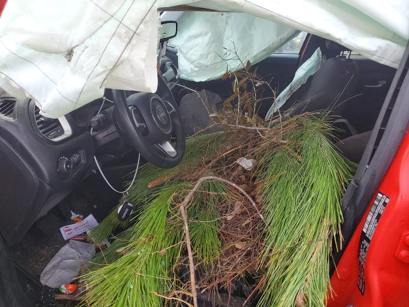 ZACNJABB6KPJ77704