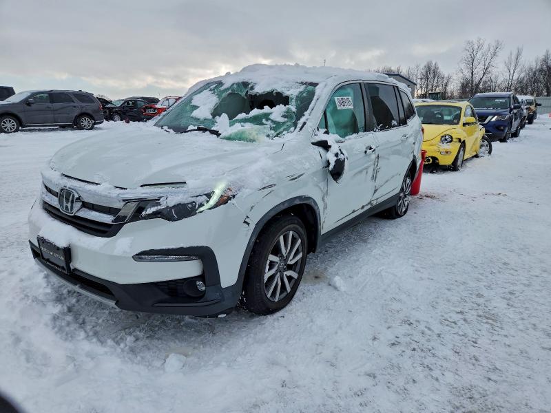 2020 HONDA PILOT EX — VIN 5FNYF5H35LB023504
