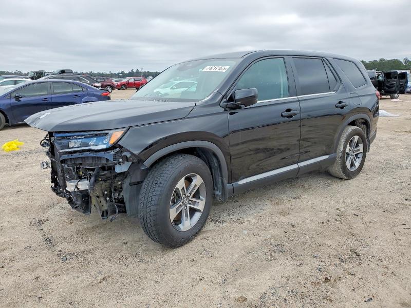 2025 HONDA PILOT EXL — VIN 5FNYG1H4XSB036052