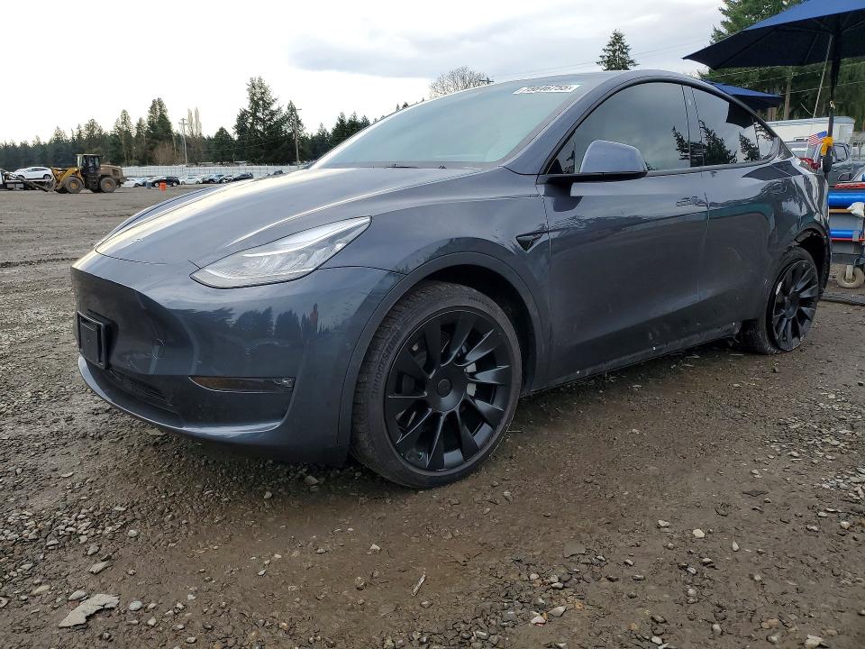 2021 TESLA MODEL Y — VIN 5YJYGDEE4MF216449