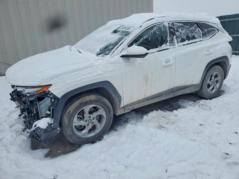 2024 HYUNDAI TUCSON — VIN 5NMJBCDE4RH311434