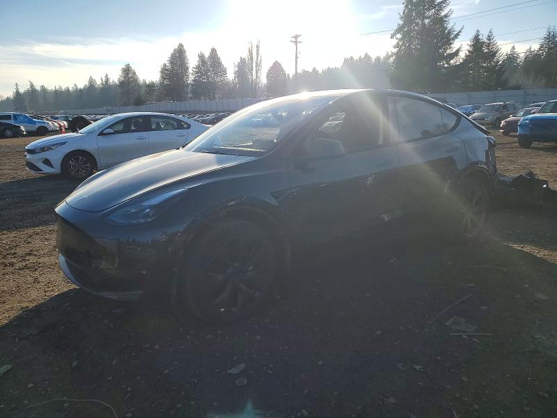 2024 TESLA MODEL Y — VIN 7SAYGDEE9RF205604
