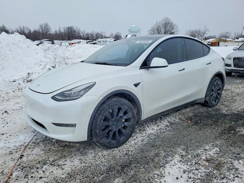 2022 TESLA MODEL Y — VIN 7SAYGDEE7NF311253