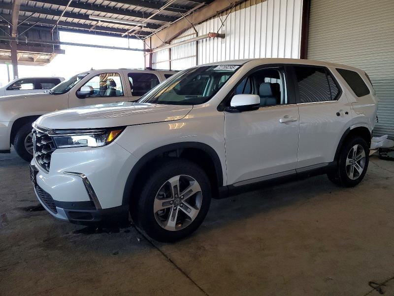 2025 HONDA PILOT EXL — VIN 5FNYG1H44SB107486