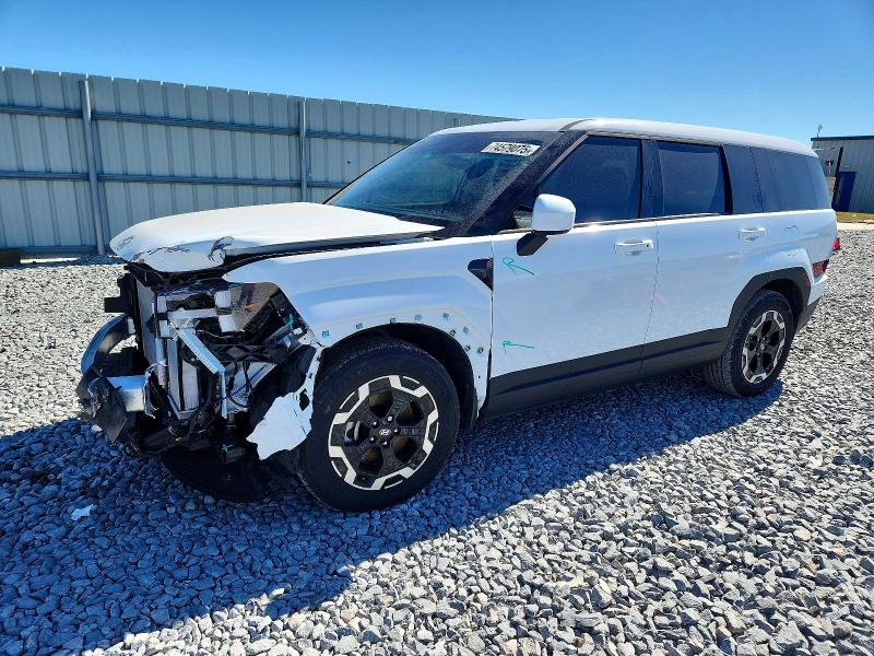 2024 HYUNDAI SANTA FE — VIN 5NMP14GL4RH041070