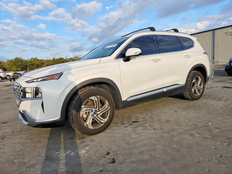 2022 HYUNDAI SANTA FE — VIN 5NMS64AJXNH412942