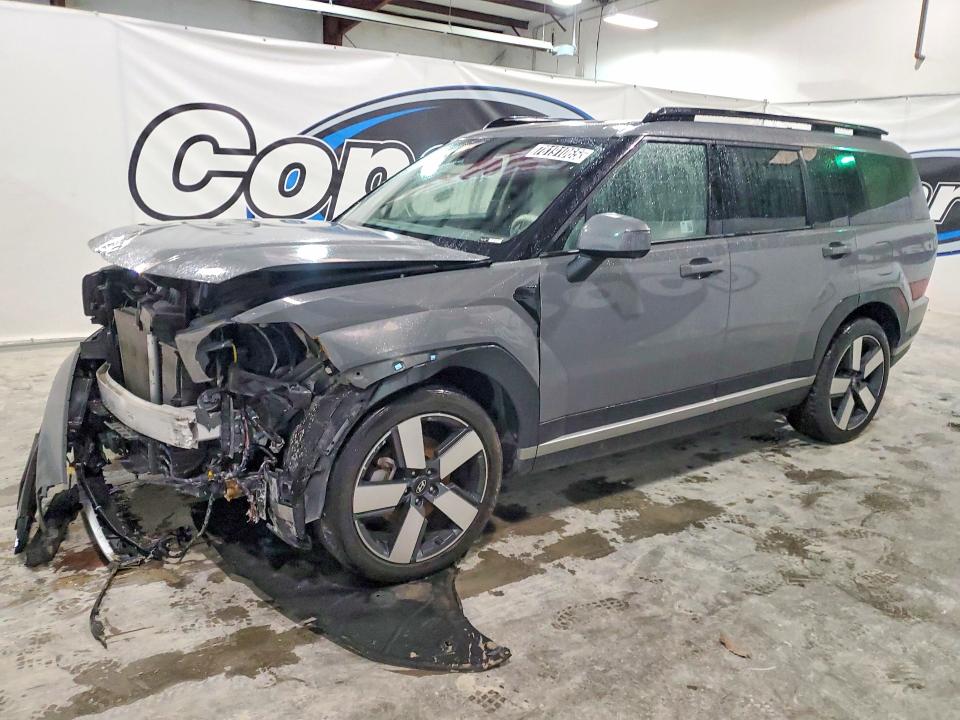 2024 HYUNDAI SANTA FE — VIN 5NMP4DGL6RH039117