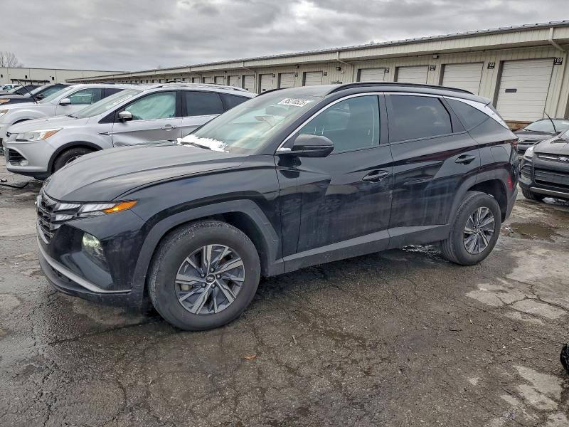 2023 HYUNDAI TUCSON — VIN KM8JBCA15PU117496
