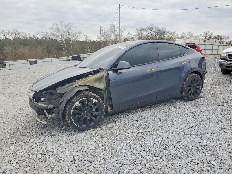 2023 TESLA MODEL Y — VIN 7SAYGDEE1PA029092