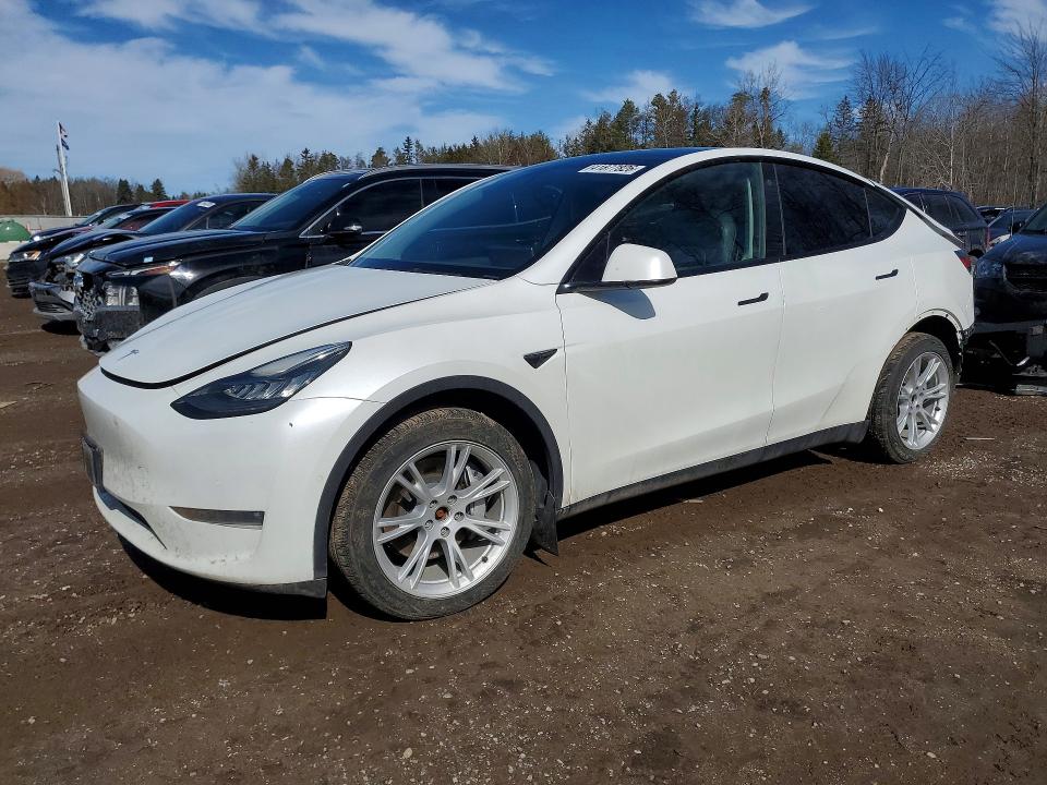 2022 TESLA MODEL Y — VIN 7SAYGDEE9NF425531