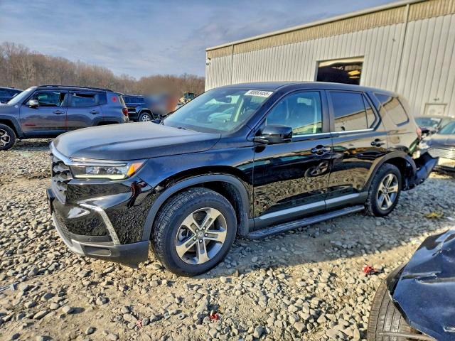 2025 HONDA PILOT EXL — VIN 5FNYG1H45SB042146