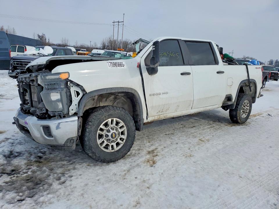 2024 CHEVROLET SILVERADO — VIN 1GC4YLEYXRF145194