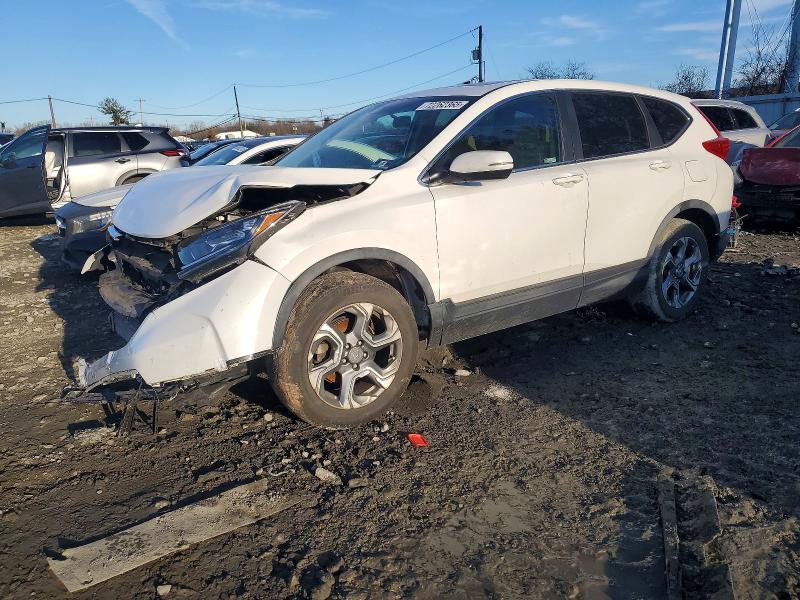 2019 HONDA CR-V — VIN JHLRW2H51KX009109