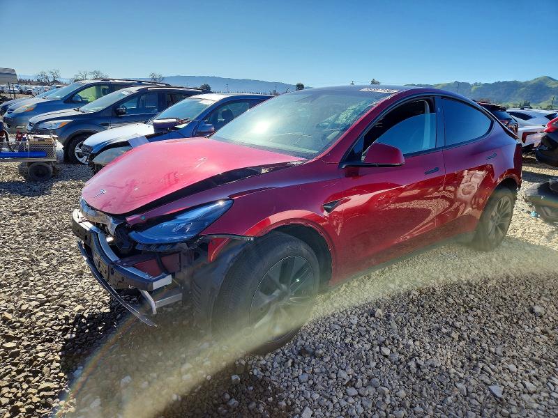 2024 TESLA MODEL Y — VIN 7SAYGDED3RA304598