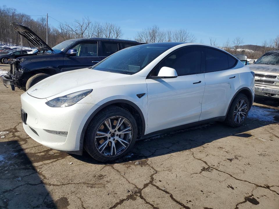 2023 TESLA MODEL Y — VIN 7SAYGDEF4PA049040