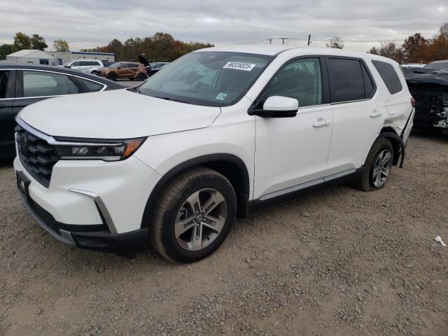 2025 HONDA PILOT EXL — VIN 5FNYG1H43SB066316