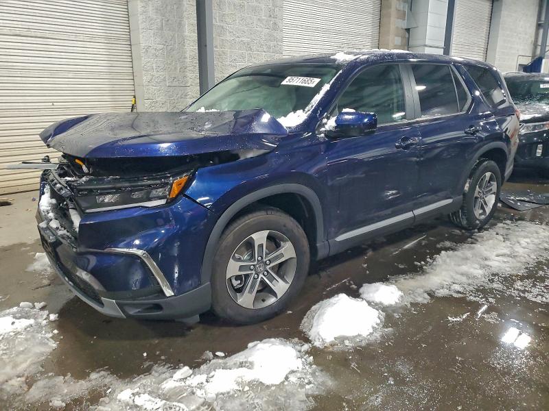 2025 HONDA PILOT EXL — VIN 5FNYG1H41SB145516