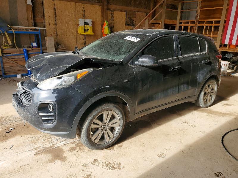 2017 KIA SPORTAGE — VIN KNDPMCACXH7168342