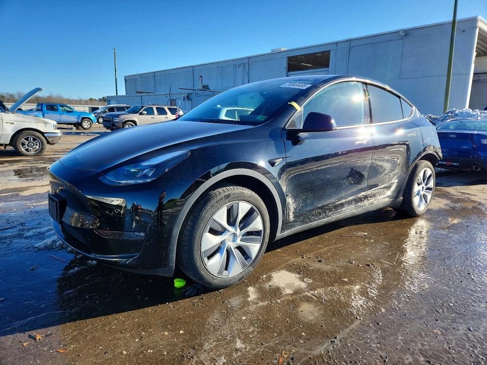 2024 TESLA MODEL Y — VIN 7SAYGDEE1RA227979