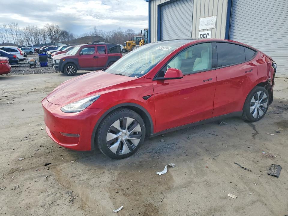 2023 TESLA MODEL Y — VIN 7SAYGDEE3PA091156