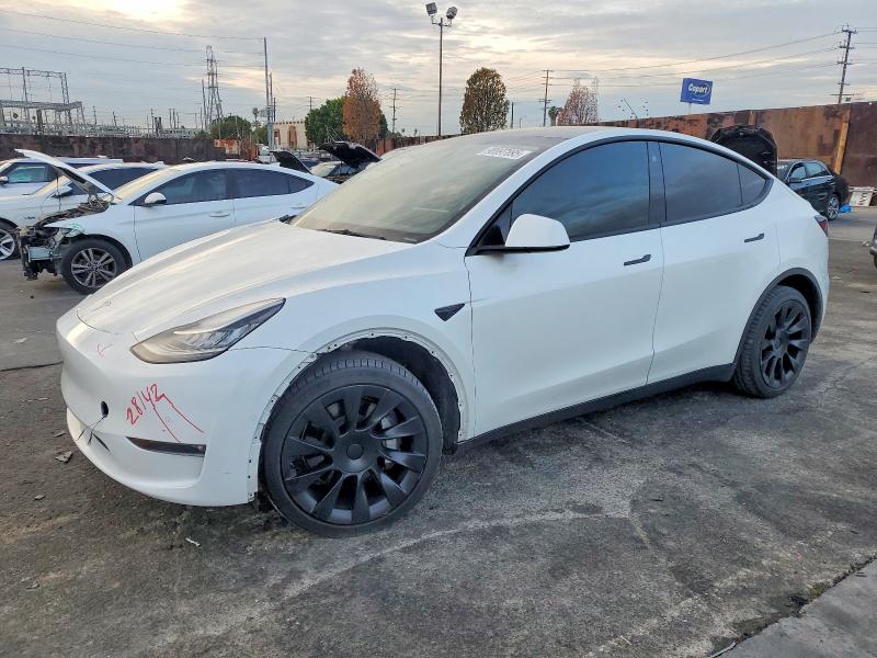 2022 TESLA MODEL Y — VIN 7SAYGDEE5NF364906