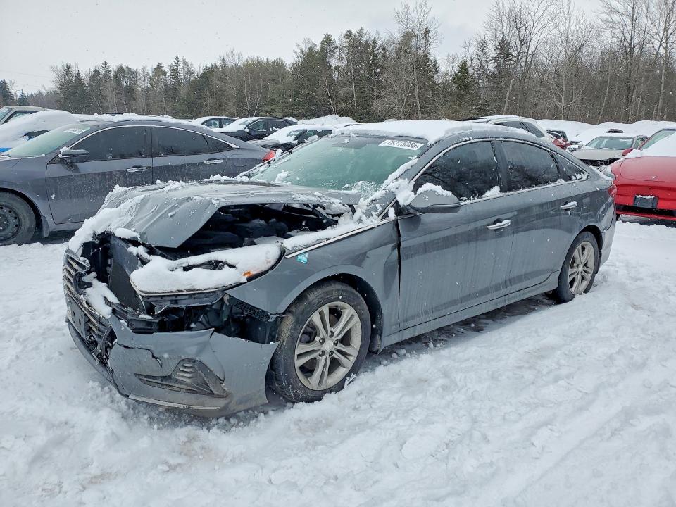 2019 HYUNDAI SONATA — VIN 5NPE34AF0KH760135