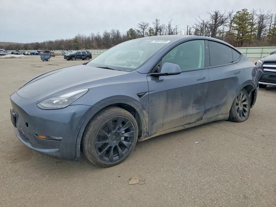 2023 TESLA MODEL Y — VIN 7SAYGDEE3PF893497