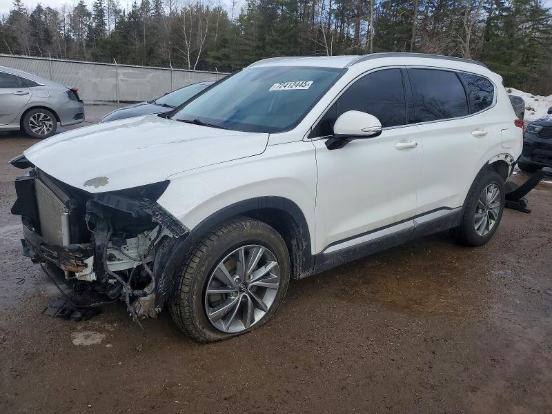 2019 HYUNDAI SANTA FE S — VIN 5NMS3CAD4KH107901