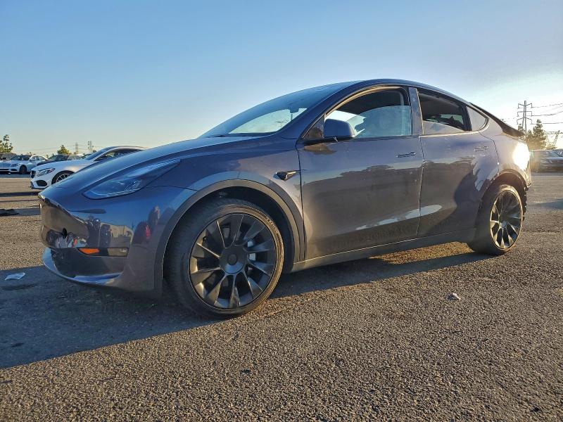 2023 TESLA MODEL Y — VIN 7SAYGDEE2PF913822