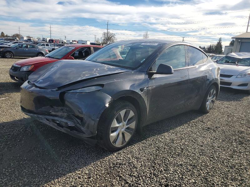 2024 TESLA MODEL Y — VIN 7SAYGDEE9RF075243