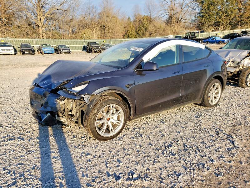 2024 TESLA MODEL Y — VIN 7SAYGDEE0RA245647