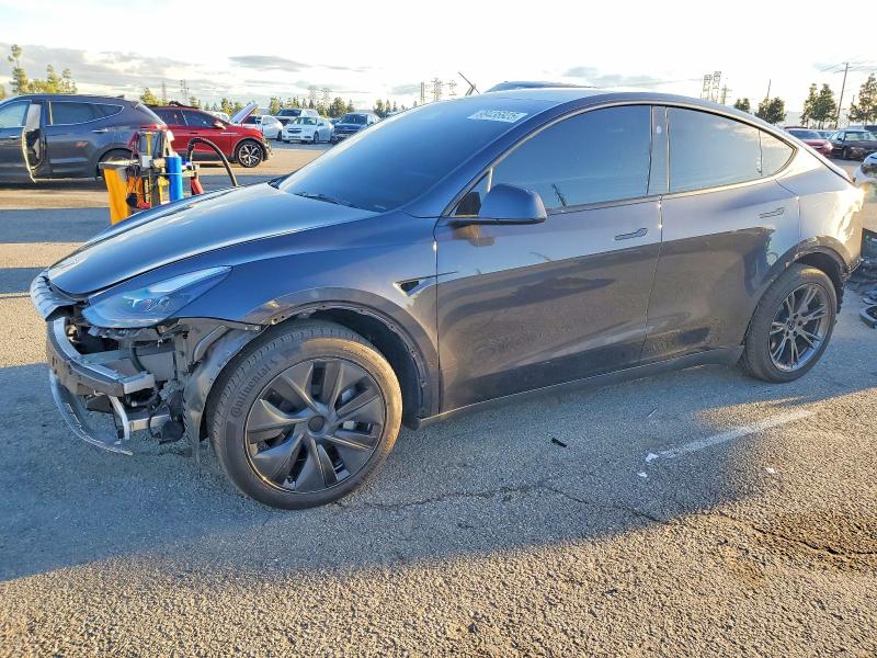 2024 TESLA MODEL Y — VIN 7SAYGDEE8RF117725