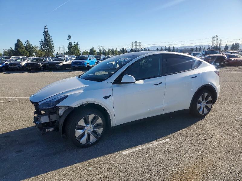 2023 TESLA MODEL Y — VIN 7SAYGDEE5PF789867