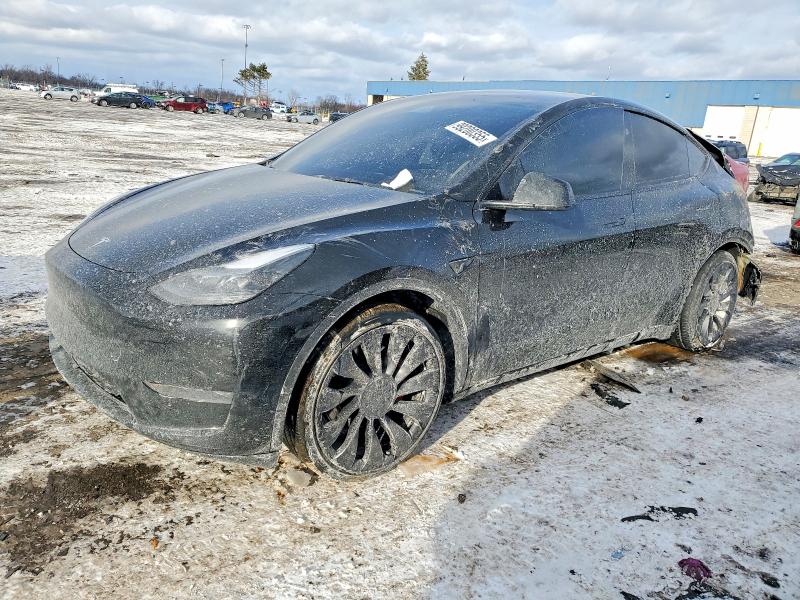 2024 TESLA MODEL Y — VIN 7SAYGDEF8RA291817
