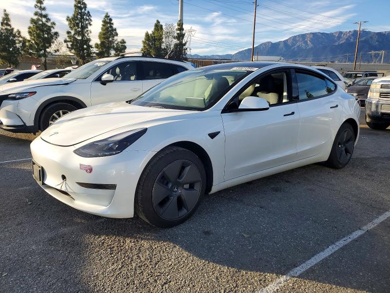 2023 TESLA MODEL 3 — VIN 5YJ3E1EA4PF542073