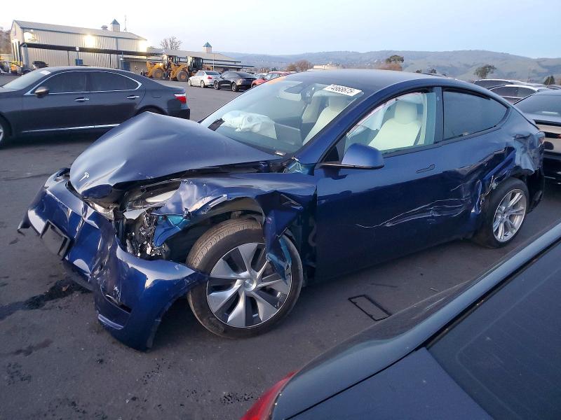 2023 TESLA MODEL Y — VIN 7SAYGDEE7PF608784