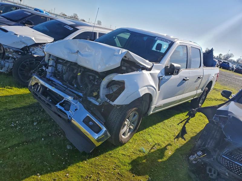 2025 FORD F150 — VIN 1FTFW1FD3SFA23197
