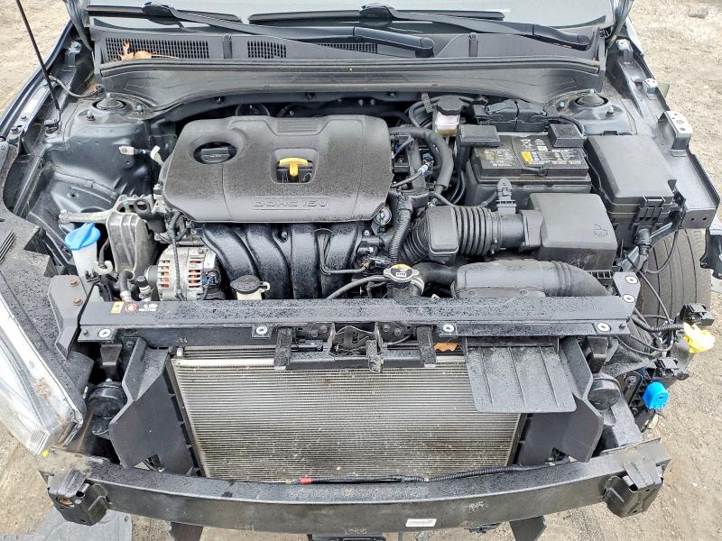 3KPF54AD4PE569116