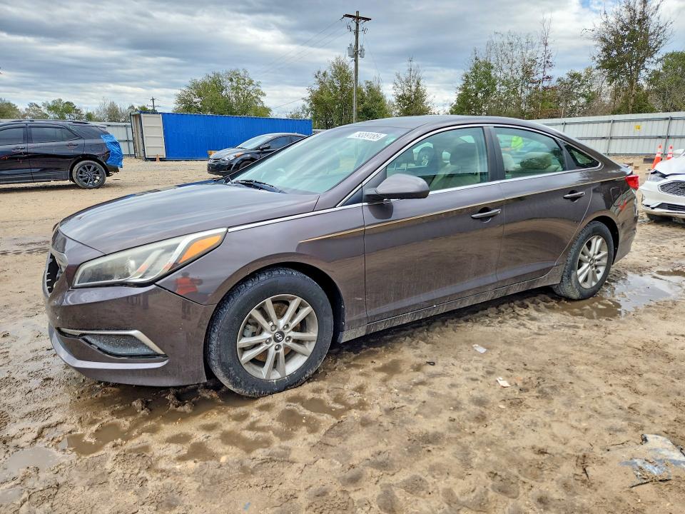5NPE24AF3HH581681