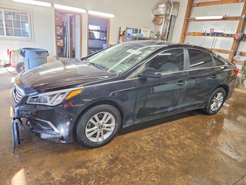 2017 HYUNDAI SONATA — VIN 5NPE24AF1HH494586