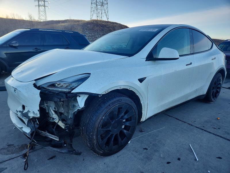 2021 TESLA MODEL Y — VIN 5YJYGDEE9MF074907