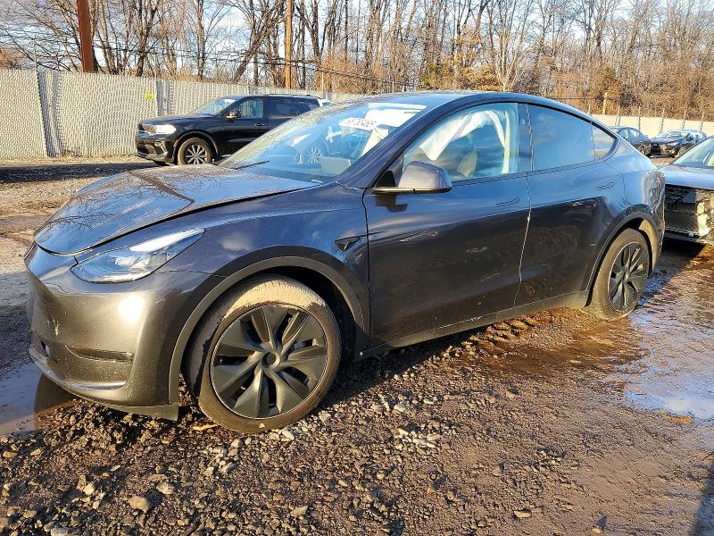 2024 TESLA MODEL Y — VIN 7SAYGDEE4RA308281